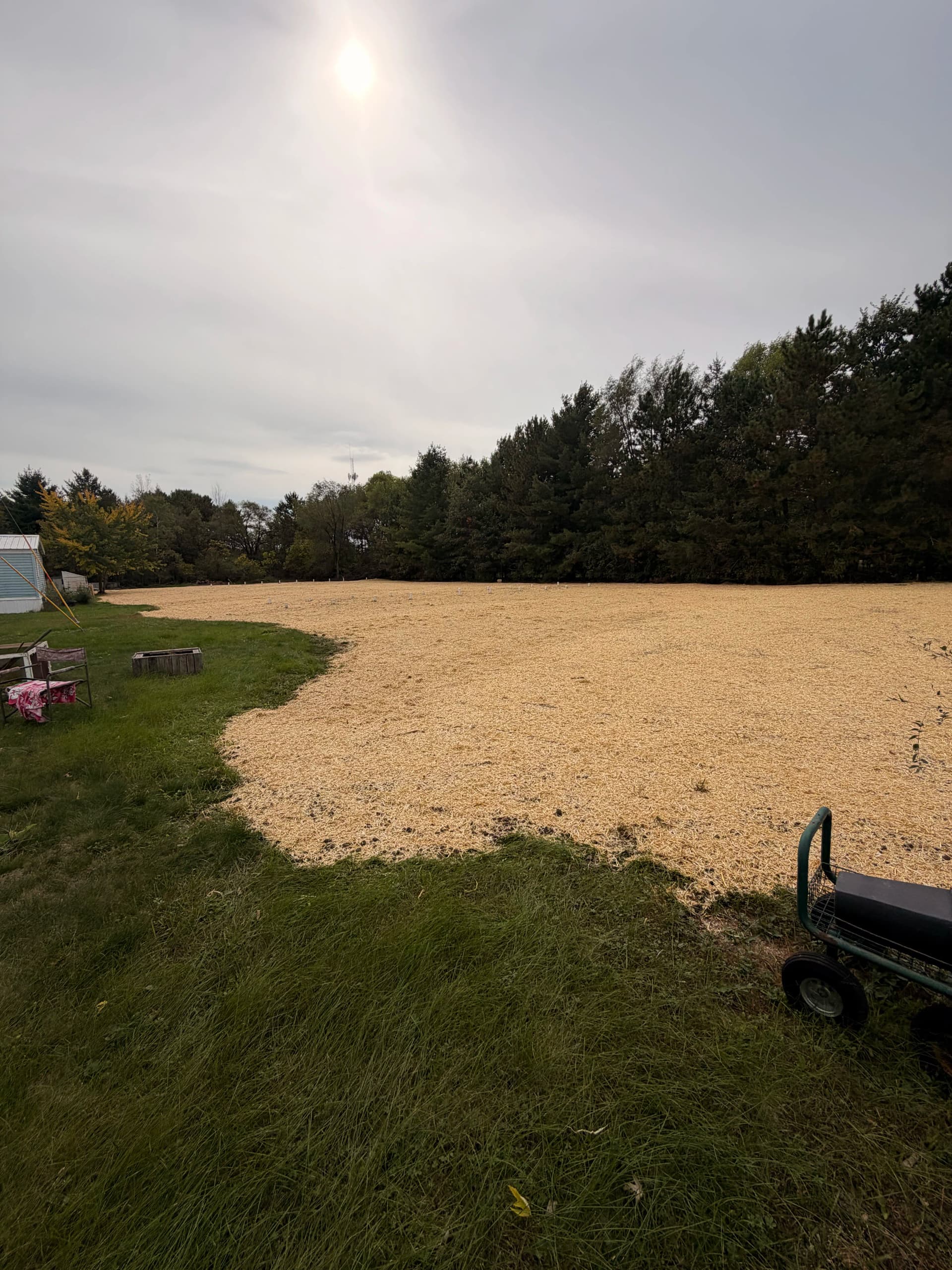 250 Yards of Screened Dirt and a Brand New Lawn Near Lake Wissota