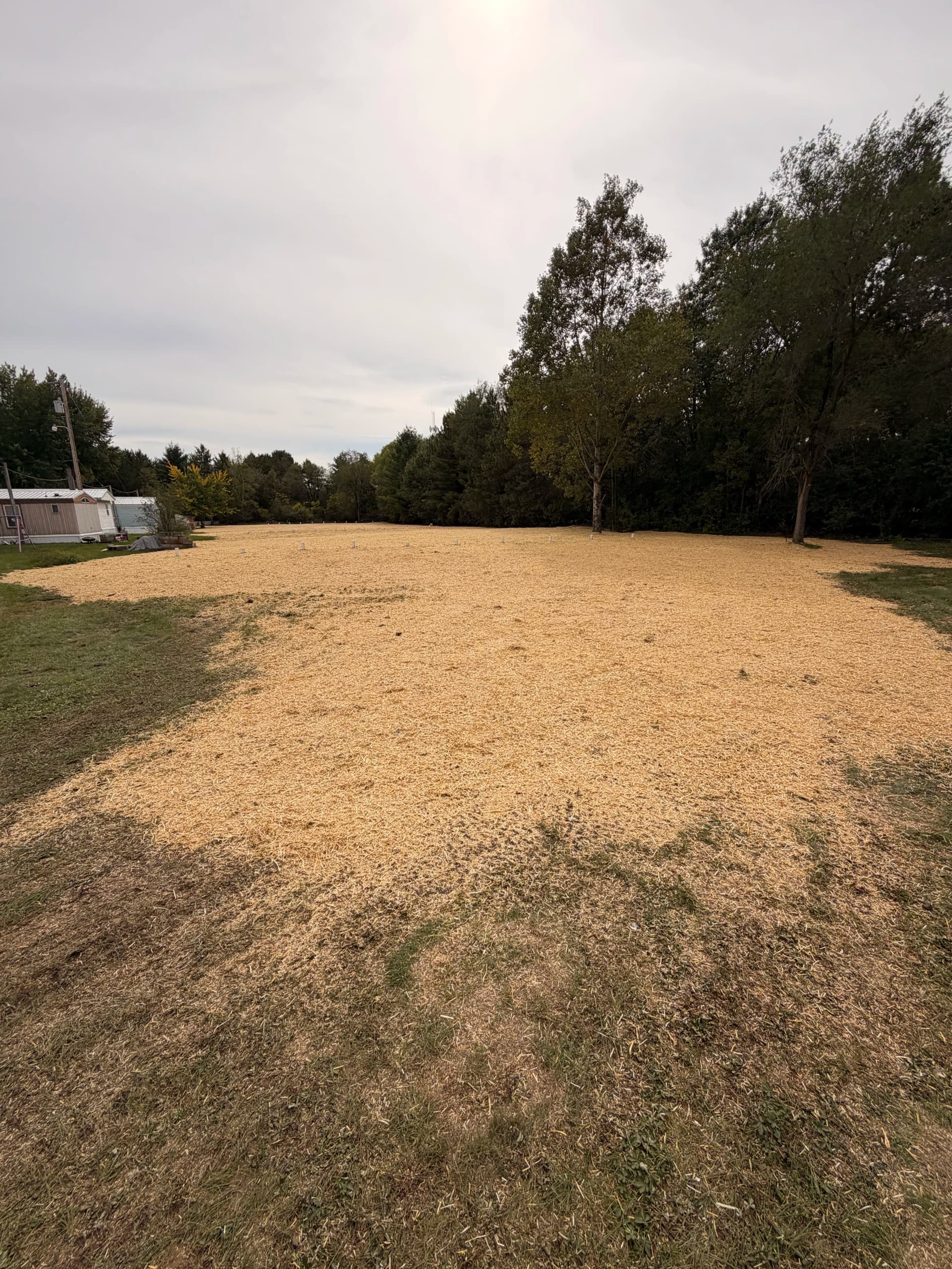 250 Yards of Screened Dirt and a Brand New Lawn Near Lake Wissota