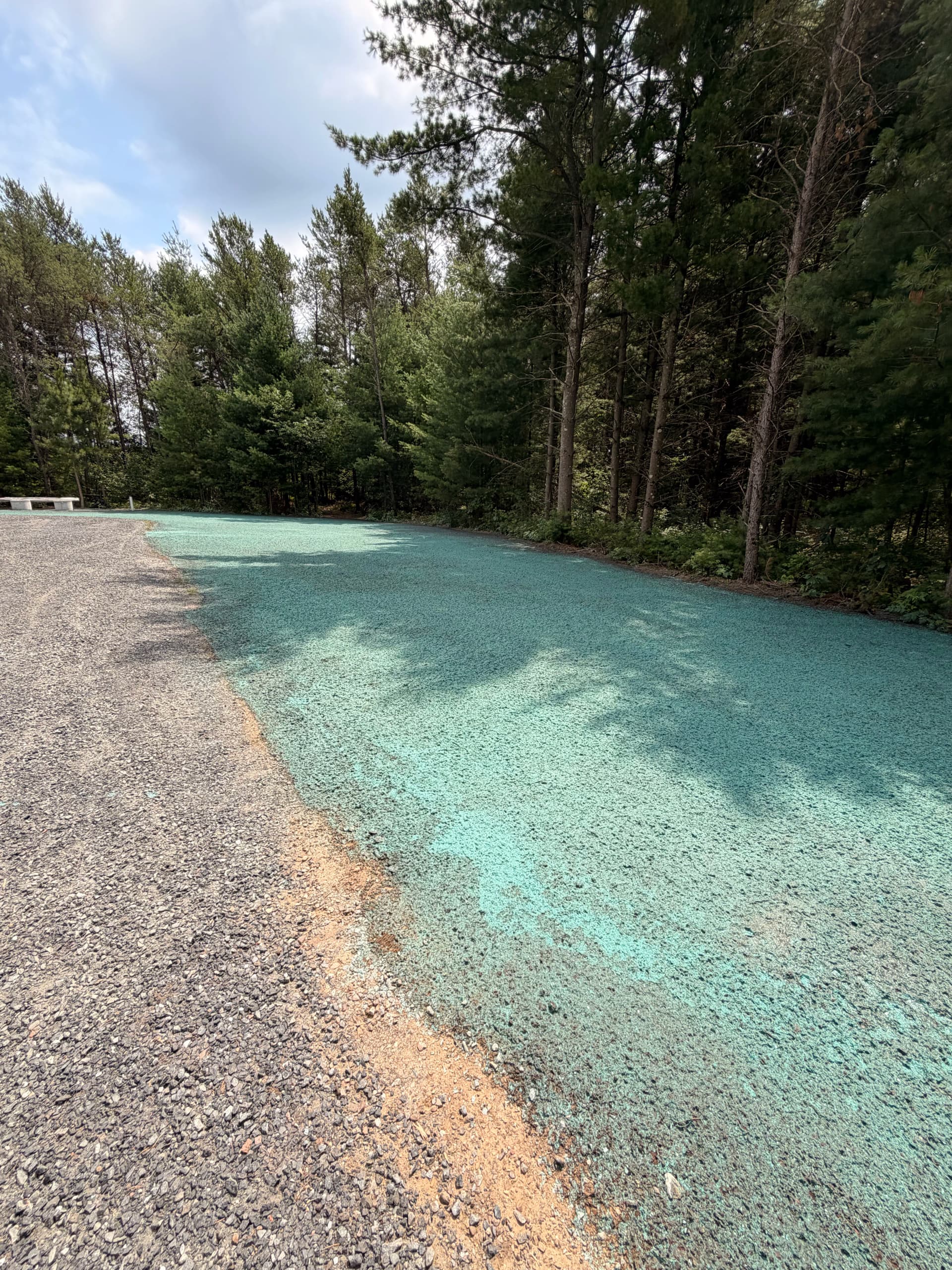 Gallery photos for Bare Ground to Full Green Lawn with Hydroseeding: Image #4