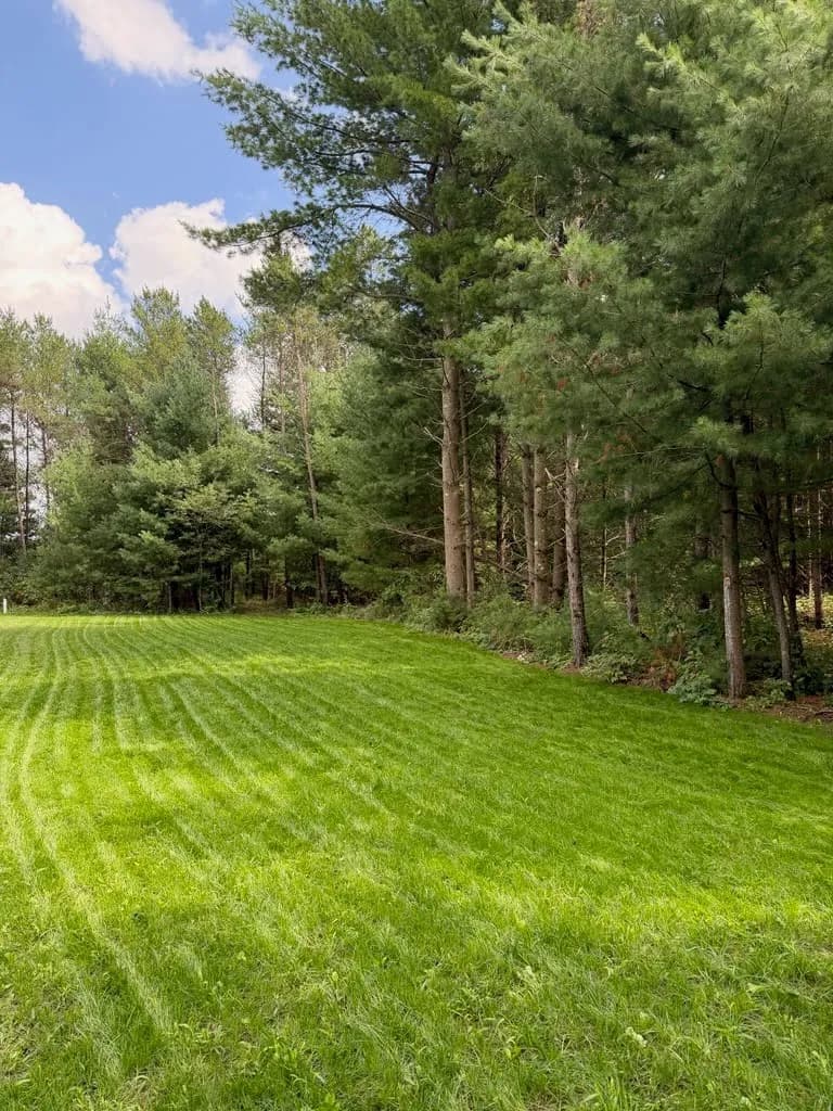 Bare Ground to Full Green Lawn with Hydroseeding image