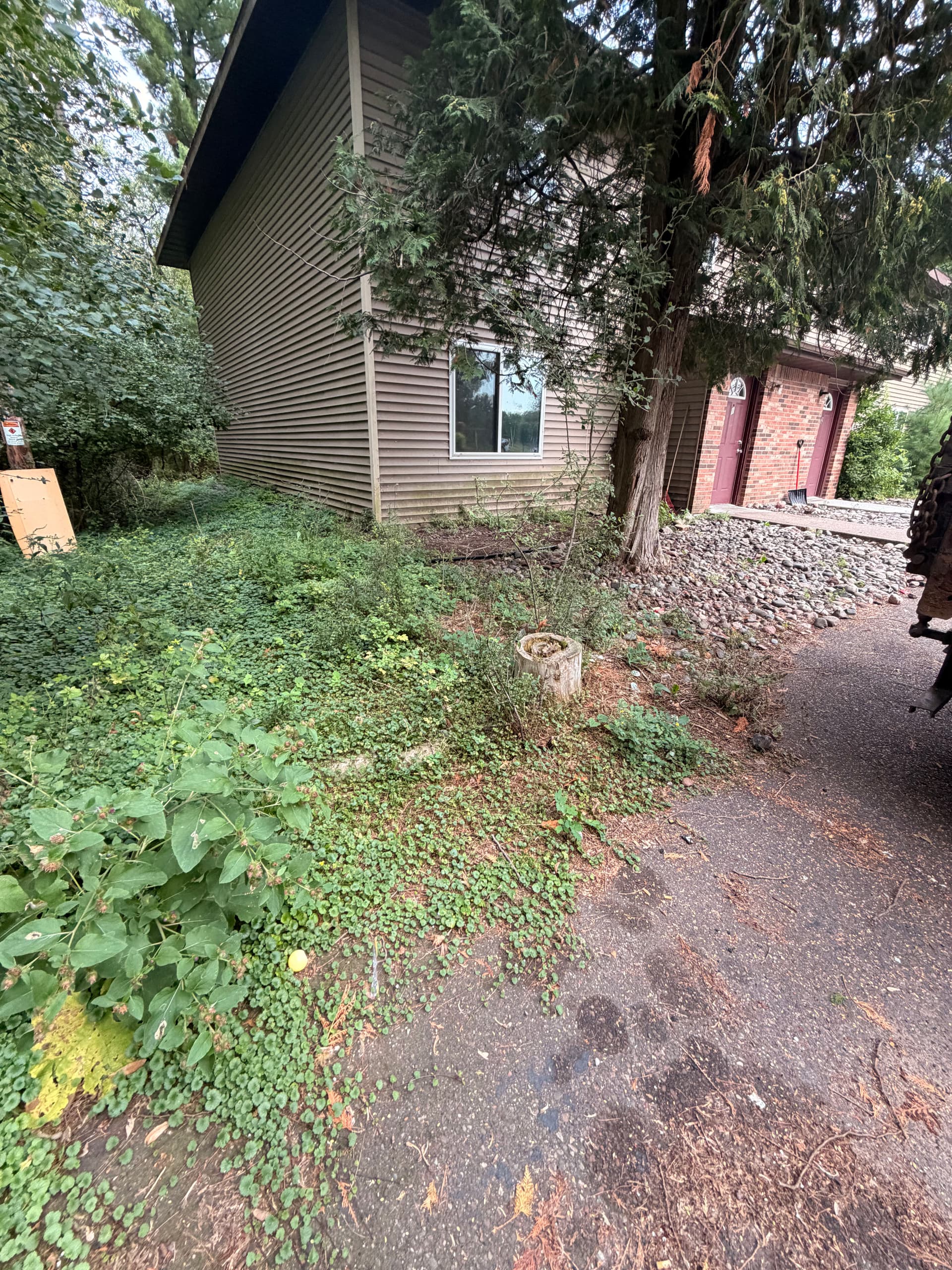 Full Landscape Restoration in Menomonie WI