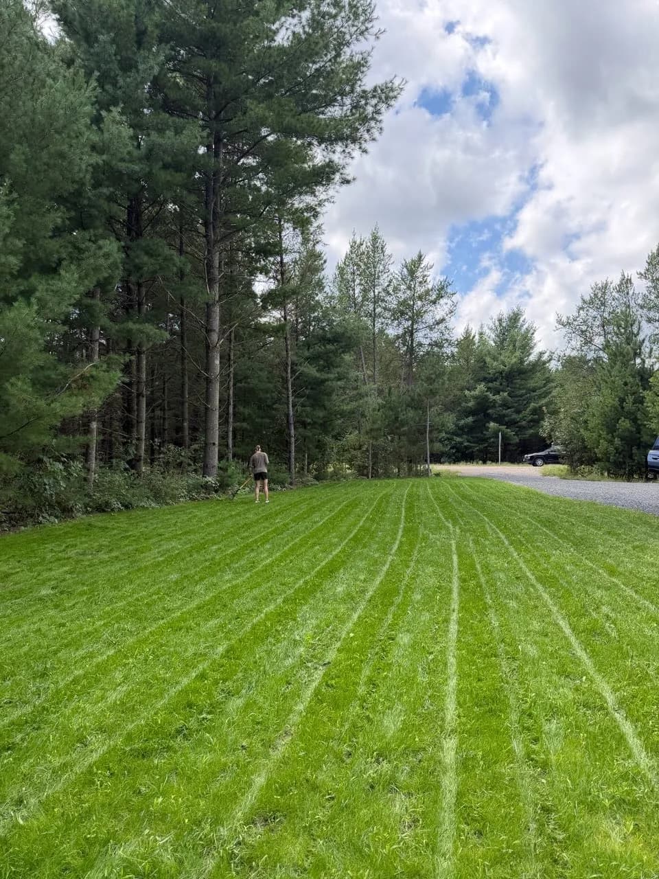 Gallery photos for Bare Ground to Full Green Lawn with Hydroseeding: Image #1