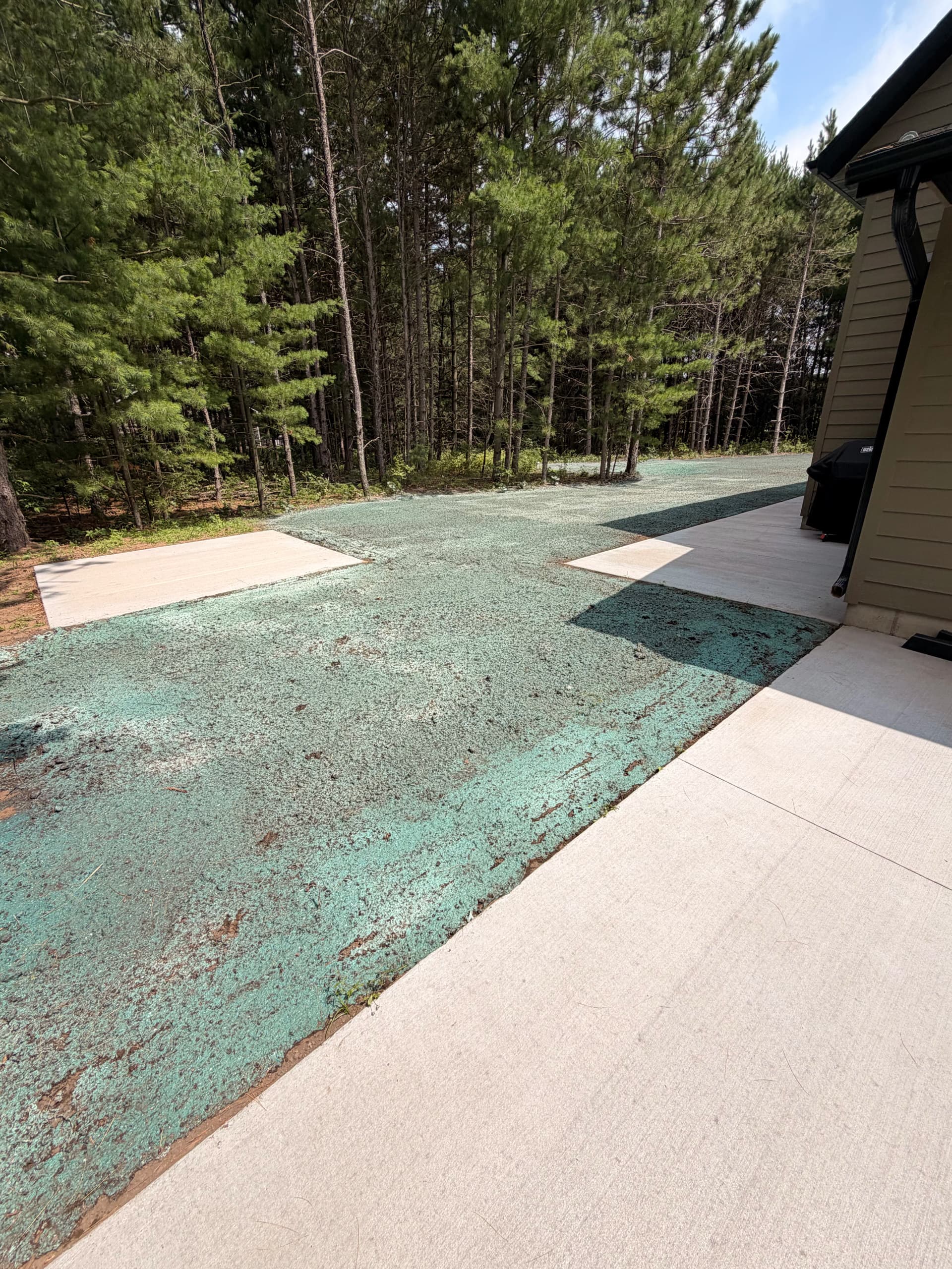 Gallery photos for Bare Ground to Full Green Lawn with Hydroseeding: Image #5