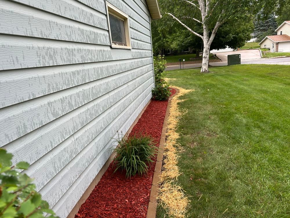 Small Garden Bed Refresh with New Edging, Shrubs, and Mulch