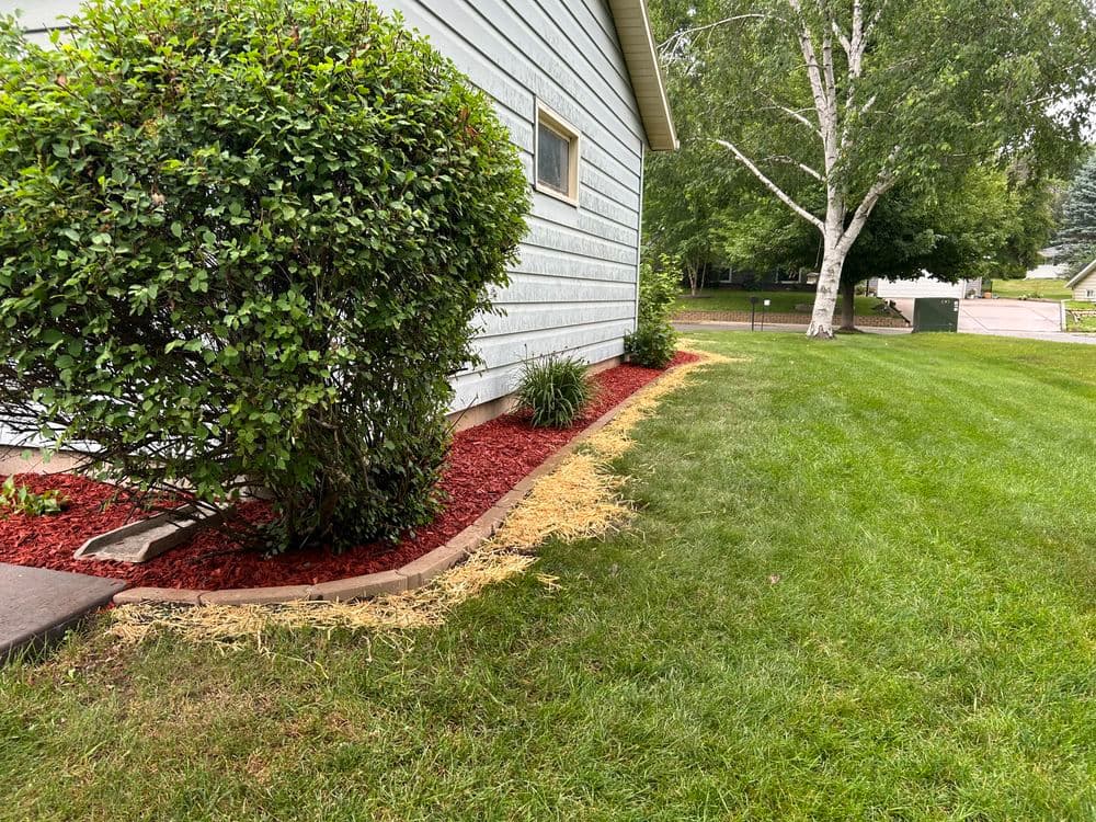 Small Garden Bed Refresh with New Edging, Shrubs, and Mulch