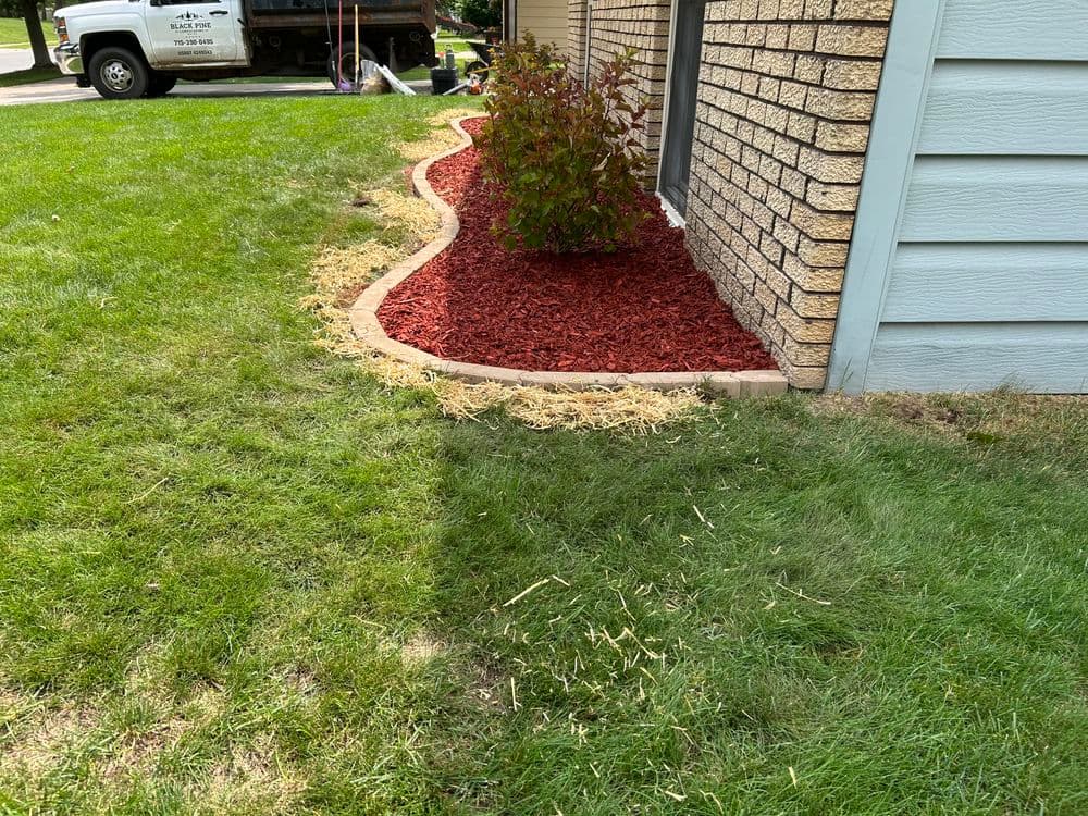 Small Garden Bed Refresh with New Edging, Shrubs, and Mulch