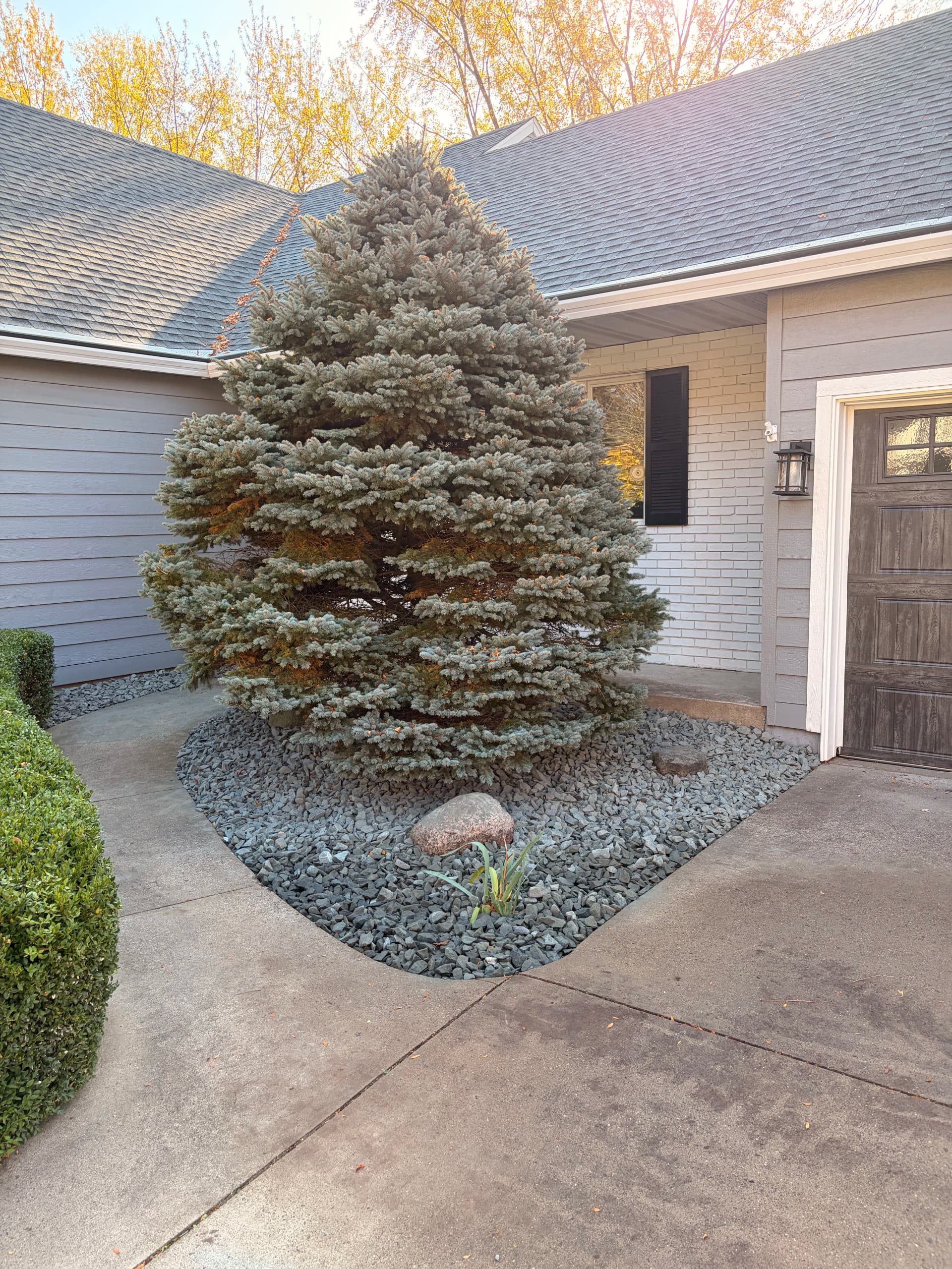 Gallery photos for Repeat Customers and a Big Week of Varied Work: Image #5